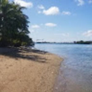 Meet your Posher, Dennis